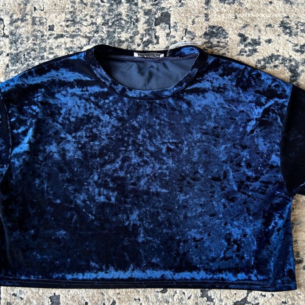 Velvet cropped top